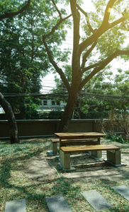 树荫下的长凳椅