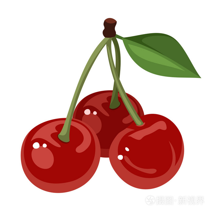 三个樱桃.矢量插画