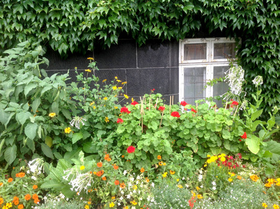 房子和花园, 花和窗口
