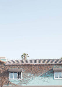 加州洛杉矶的绿松石房子与藤蔓图片