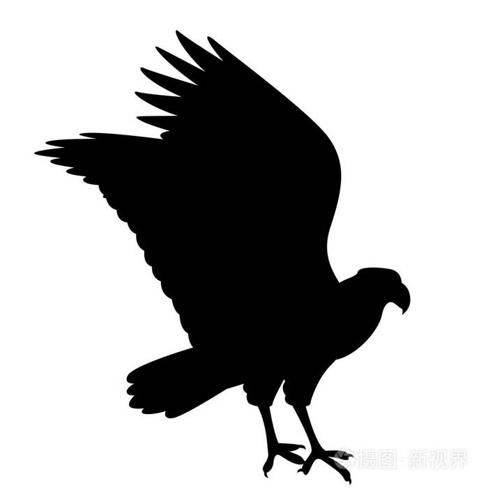 caracara老鹰矢量插图黑色剪影侧面
