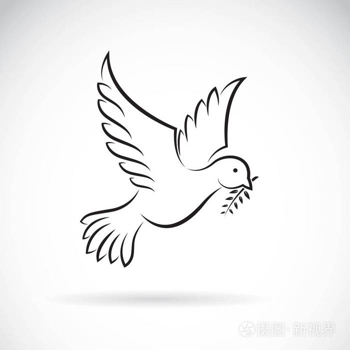 在白色背景下与橄榄树枝和平的黑鸽的矢量.鸟设计.动物.