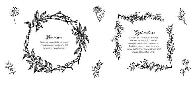 简单花叶制作的简约花卉框架模板收藏