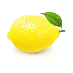 黄色柠檬叶