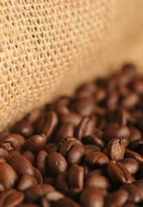 咖啡豆和帆布袋