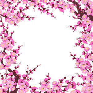 方形的框架, 开花的树枝和芽与粉红色的花朵在白色背景。梅花是春天的象征。春节花卉装饰。矢量平图