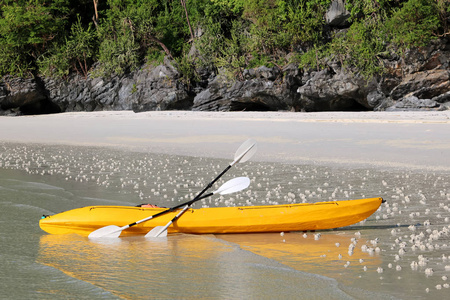 在泰国湾的石灰石岛和丁字群岛白沙海滩上划独木舟