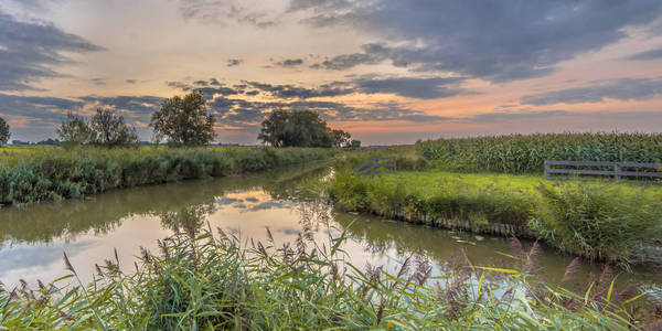 彩色日落天空下典型的荷兰农业景观运河
