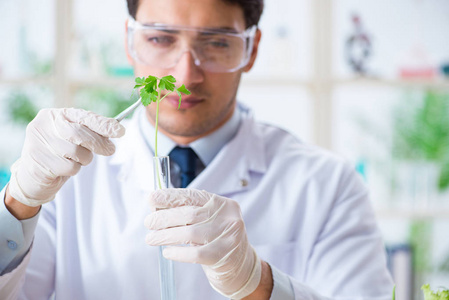 在植物实验室工作的男性生物化学家