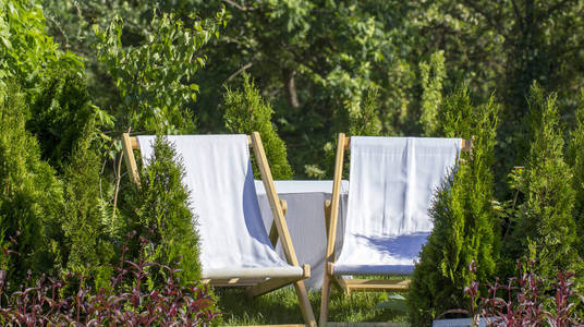 白色贵妃休息室从在花园的布在一个绿色的草坪上, 由侧柏围栏