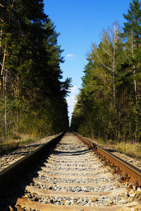 穿过森林的铁路
