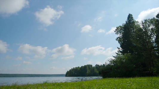 在绿色的夏日森林里洁净宁静的湖泊。股票。美丽的湖在森林在一个晴朗的天