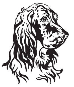 狗英语的装饰肖像, 矢量孤立的插图在白色背景黑色的颜色。设计和纹身图像