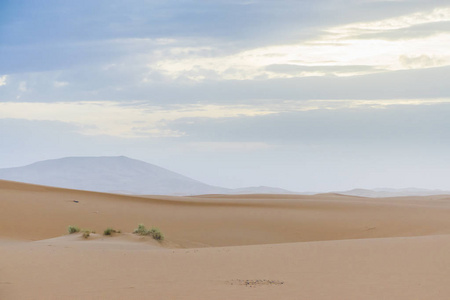 在摩洛哥的梅尔祖加沙漠