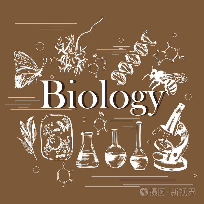 生物学的科学概念与白色手被画的元素在褐色背景