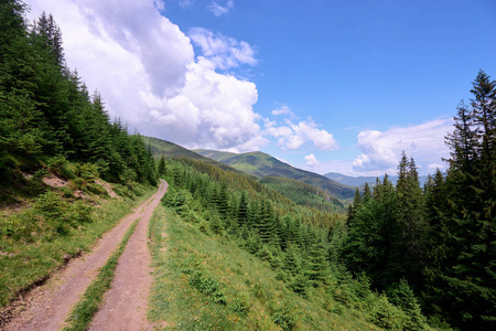 美丽的山水景观与绿色的草甸。喀尔巴阡山, 乌克兰