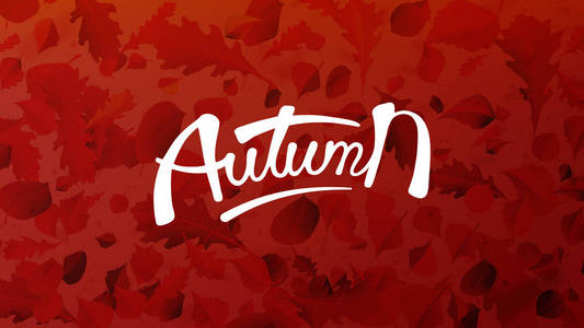 股票矢量插画秋季落叶的背景。秋季落叶和杨树叶片在风动模糊中飞行。橙色设计为秋天设计。Eps10