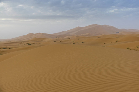 在摩洛哥的梅尔祖加沙漠