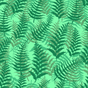 蕨类无缝图案异国情调背景自然绿叶植物矢量插画