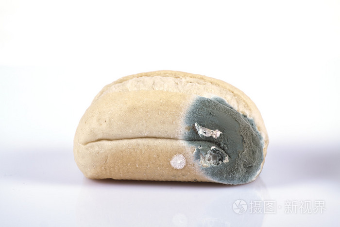 发霉的面包