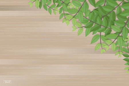 树枝的绿叶在褐色的木材纹理背景。矢量插图