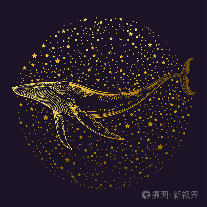 手绘鲸鱼飞行黑暗的宇宙背景与明星