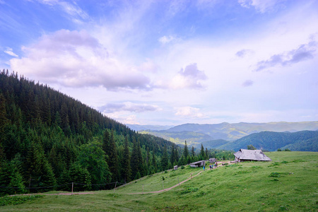 美丽的景色与绿色的草甸和木房子的山景观。喀尔巴阡山, 乌克兰