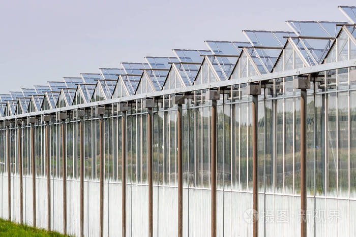 荷兰zoetermeer1附近的温室建筑