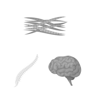 内部器官的一个人的单色图标集合中的设计。解剖学和医学矢量符号股票 web 插图