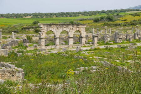 摩洛哥 Volubilis 罗马城