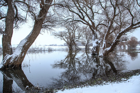在匈牙利冬季景观河 zagyva
