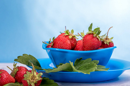 蓝色背景木桌上的菌丝新鲜草莓