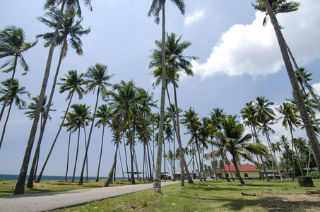 美丽的传统村庄位于丁加奴州 Malaysia.surrounded 的性质 海滩和蓝色天空背景下的阳光灿烂的日子