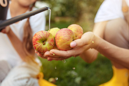 在户外花园采摘苹果的年轻家庭
