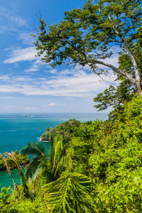 哥斯达黎加国家公园的海洋海岸图片