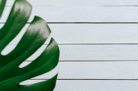 绿色平躺弥散热带龟背竹叶上白色木板的背景。文本复印刻字室