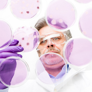 高级生命科学研究员嫁接细菌图片