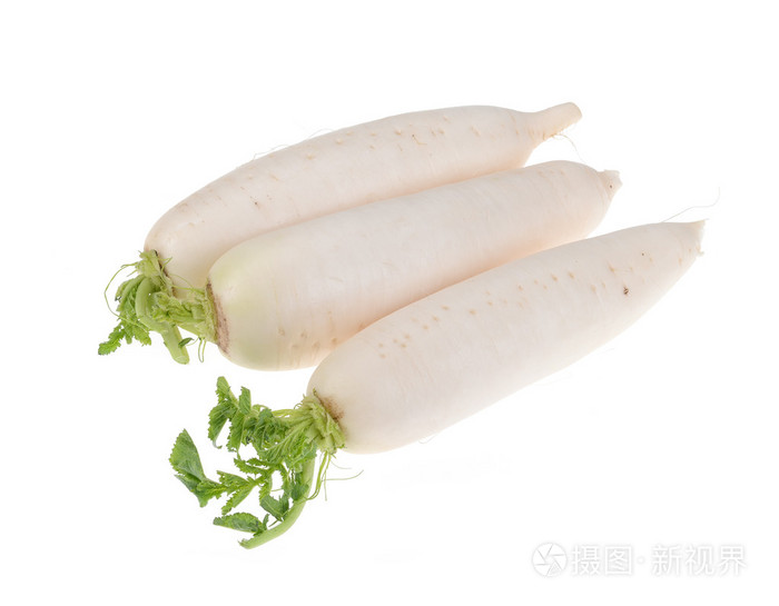 在白色背景上孤立的萝卜萝卜