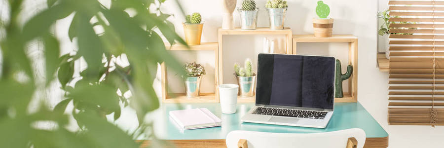 绿色植物在一个模糊的前景在计算机的相片为远程工作放置在小书桌与日历和咖啡杯子