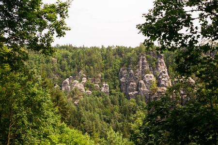 萨克森瑞士景观夏天相片德国国家自然公园