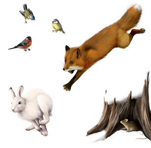 狐狸狩猎一只兔子 小老鼠在树桩孔 布尔芬奇和山雀照片