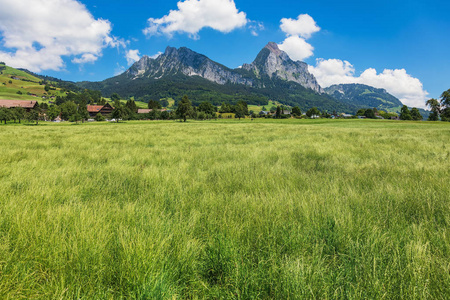 Schwyz 瑞士小行政区的夏日景色, Kleiner Mythen 和格罗瑟 Mythen 峰会的背景。这幅画是在 Schwy