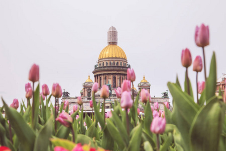圣彼得堡著名的圣艾萨克大教堂。选择性聚焦