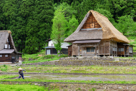 夏日农村山景 世界遗产白川乡的合掌神社建筑史