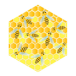 蜜蜂和蜂窝蜡单元格矢量背景