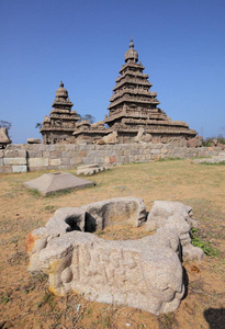 美丽的 Tamilnadu 州, Mamallapuram, 印度