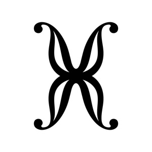 字母 X 的符号