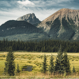 加拿大艾伯塔省洛基山脉班夫国家公园的孤立峰和周围的山脉和森林