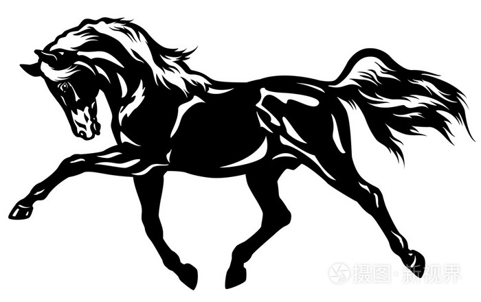 疾行马黑白色