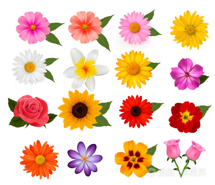美丽的七彩花的大集。矢量插画